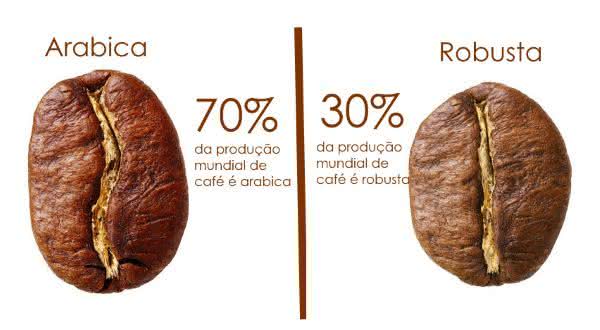 Tipos de café: Arábica e Robusta