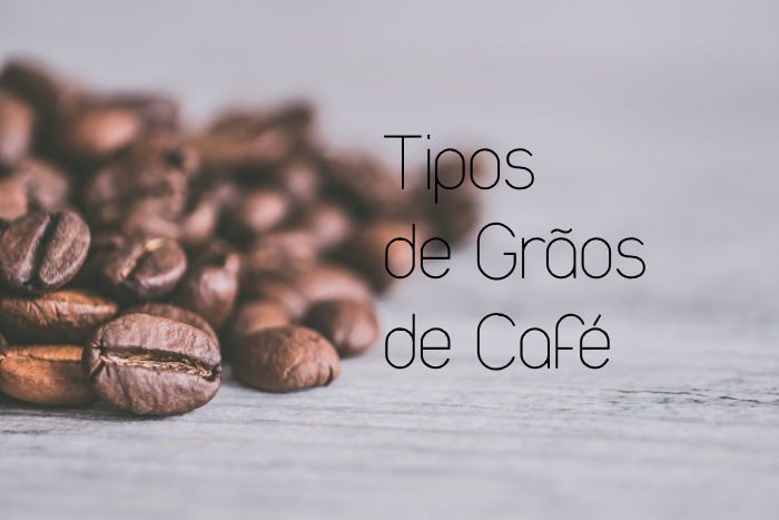 tipos de grãos de café